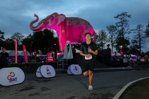 BIB: 
                            <button type="button" onclick="openModal(26529719)" class="btn btn-primary btn-sm float-right btn-popup" data-toggle="modal" data-target=".modal-high-quality">
                        <i class="fas fa-shopping-cart"></i> Add to Cart
                    </button>
                                            <button type="button" onclick="isThisMe(26529719, true)" class="btn btn-success btn-sm float-right btn-popup btn-isme hidden" data-toggle="tooltip" data-placement="bottom" title="นี่คือรูปของคุณใช่ไหม คลิกที่นี่เพื่อเอาเข้าอัลบั้ม">
                        <i class="fas fa-plus"></i> Add to album
                    </button>
                    <button type="button" onclick="isThisMe(26529719, false)" class="btn btn-warning btn-sm float-right btn-popup btn-isnotme hidden">
                        <i class="fas fa-ban"></i> Remove from album
                    </button>